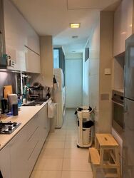 Park Infinia At Wee Nam (D11), Condominium #540727611